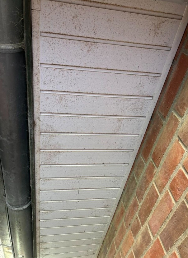 Dachunterstand vorher